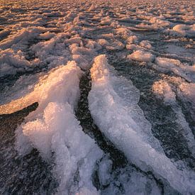 Horse of Marken by Melvin Jonker