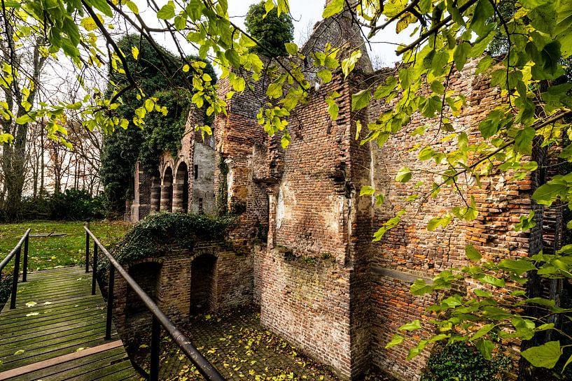 Ruïne in het groen van Brian Morgan