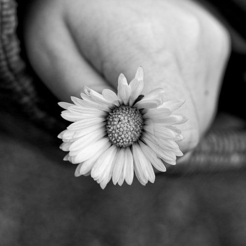 Bloem voor jou