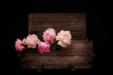 Rustic Romanticism III - Peonies in a Vintage Chest by marlika art