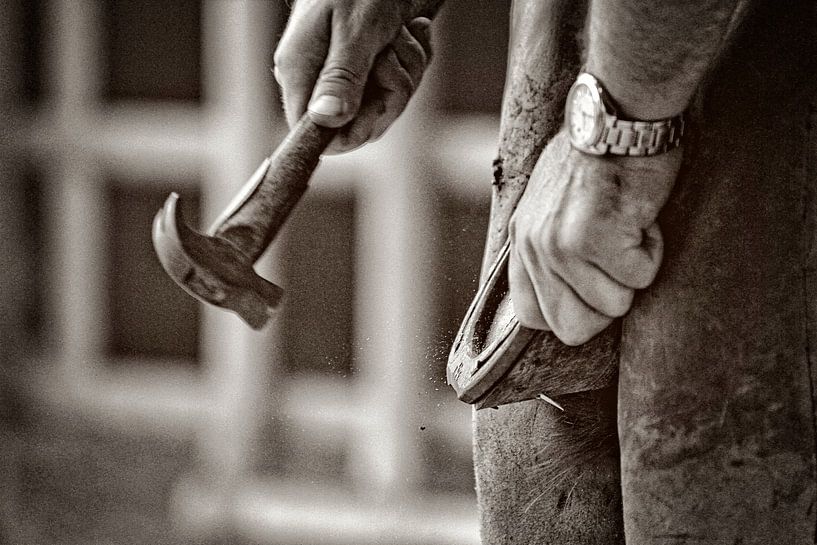 Farrier 14 by Wybrich Warns