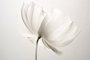 Doorzichtige bloemen