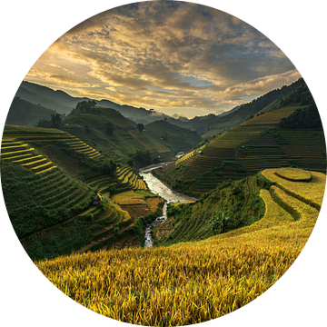 RiceTerrace (Vietnam), Sarawut intarob van 1x