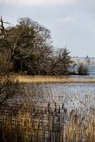 Winter im Killarney Park