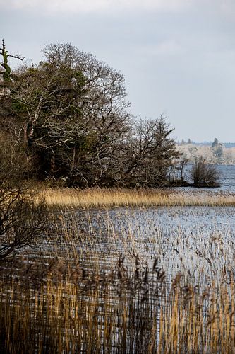 Winter in Killarney Park