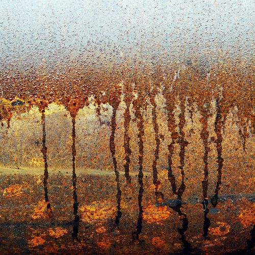 Monet like by Annemie Hiele
