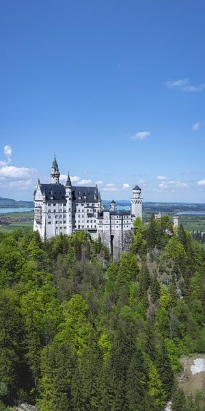 Panoramablick auf ein Märchenschloss: Neuschwanstein und die Pöllatschlucht von Walter G. Allgöwer