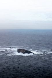 Rots in de oceaan van Rauwworks