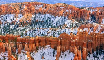 Winter in Bryce Canyon National Park, Utah.