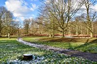 Clingendael: eine grüne Oase in Den Haag