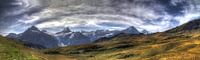 Alpenpanorama van Gerhard Albicker thumbnail