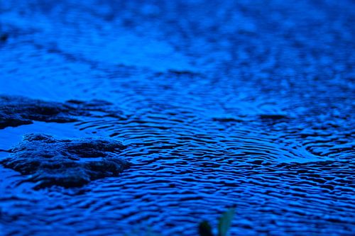 Blauwe beweging