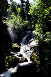 Triberg Waterfall 2 by Paul Emons