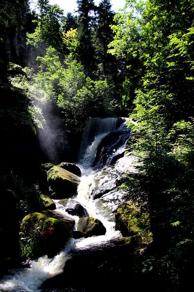 Triberger Waterval 2 van Paul Emons