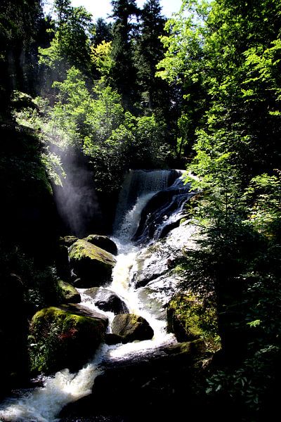 Chute d'eau de Triberg 2 par Paul Emons