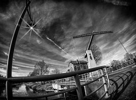 Schaive Klabbe von Fouchienus Molema