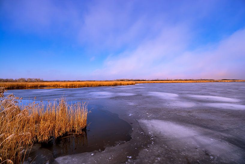 BADEN-WÜRTTEMBERG : BAD BUCHAU - FEDERSEE van Photoart-Naegele