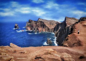 Ponta de São Lourenço 1 van Maickel Dedeken