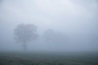 Verschwinden im Nebel
