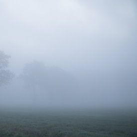 Verdwijnend in de mist van Theo Bauhuis