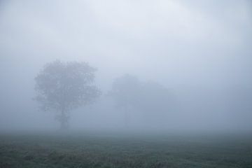 Verdwijnend in de mist van Theo Bauhuis