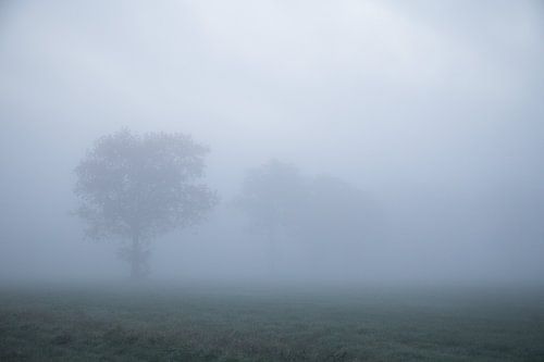 Disparaître dans le brouillard