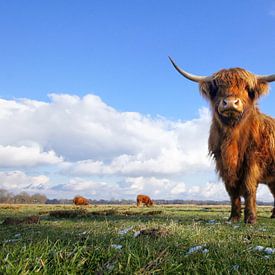 De laatste sneeuw van John Dekker