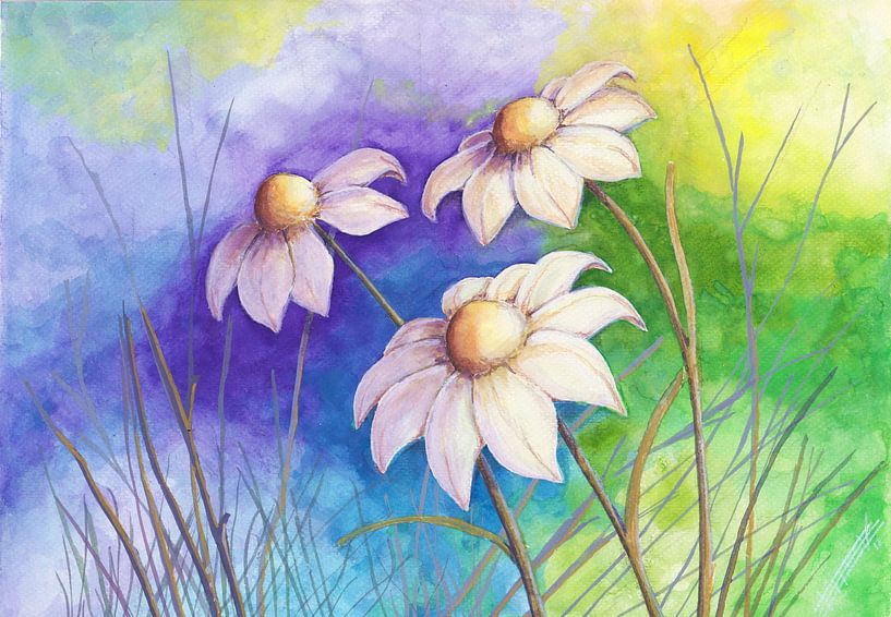 Drie witte bloemen von Bojan Eftimov