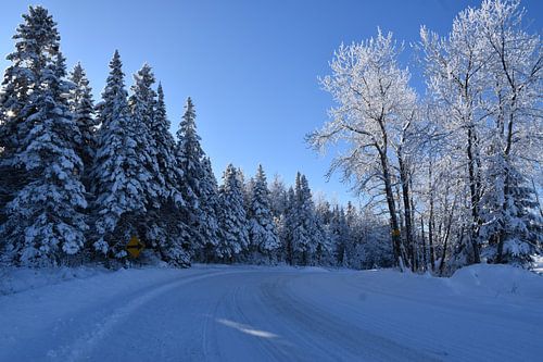 Een landweg in de winter
