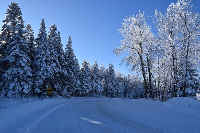 A country road in winter by Claude Laprise