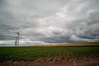 Donkere wolken boven een dijk en weiland in Nederland van Jolien Kramer thumbnail