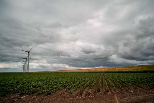 Donkere wolken boven een dijk en weiland in Nederland