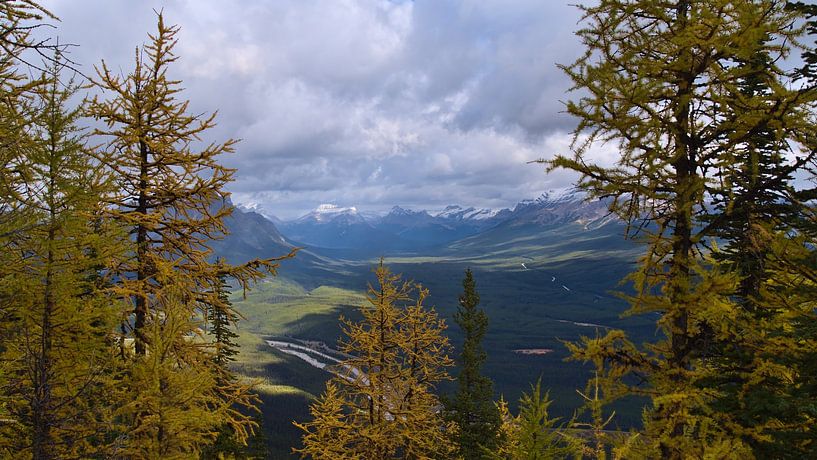 Rocky Mountains im Herbst von Timon Schneider