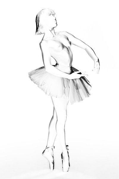 Ballet-3 van Bodo Gebhardt
