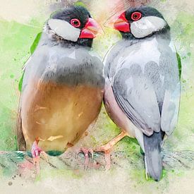 Rijstvogel van Bert Quaedvlieg