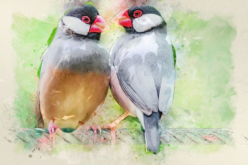 Reisvögel von Bert Quaedvlieg