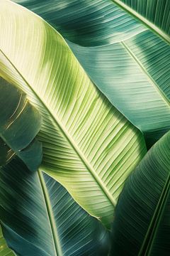 Bananenblad detail van Poster Art Shop