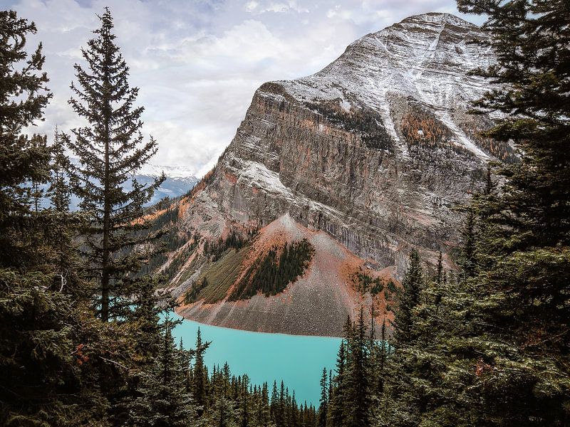 Big Beehive bij Lake Louise, Canada van Daan Duvillier | Regio in de Kijker