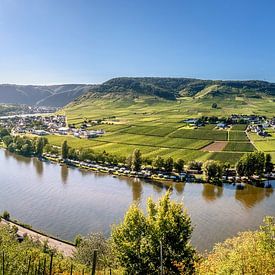Beilstein Moselle Loop by Voss photography