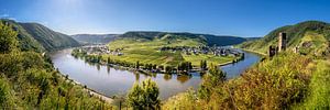Beilstein Moselschleife