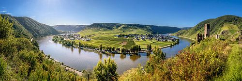 Beilstein Moezelbocht