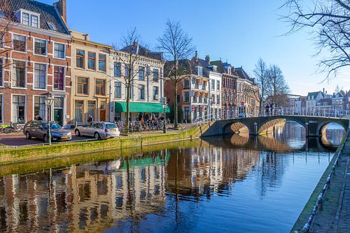 Colourful Leiden