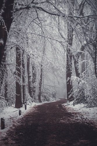 Winter in Vijlen