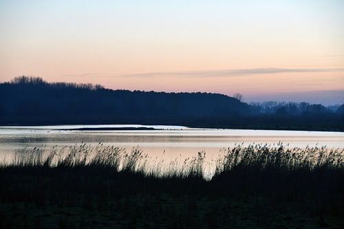Winter in the Braakman, nature reserve in Zeeuws-Vlaanderen (4)