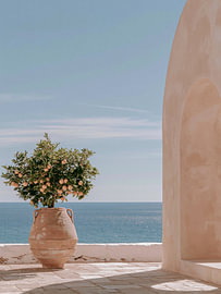 Sinaasappelboompje in een pot op een terras aan zee – Mediterrane kunst van StudioRemier