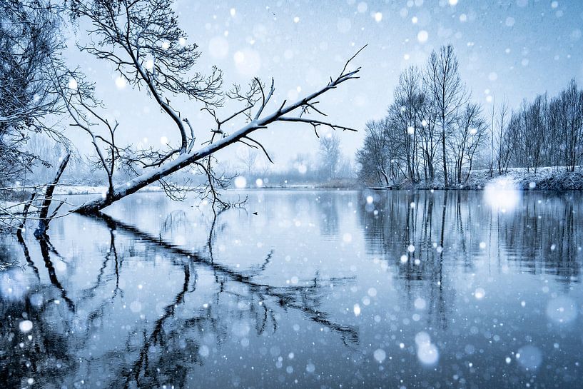 Winterbach von Sam Mannaerts