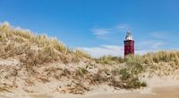 Beach with the lighthouse of Ouddorp