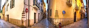 Panoramablick auf die Gasse im Stadtzentrum von Palma de Mallorca, Spanien