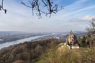 Schloss Drachenburg Siebengebirge und der Rhein Bonn Deutschland von Leoniek van der Vliet Miniaturansicht