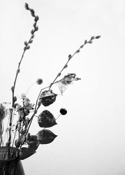 Trockenblumen in Schwarz und Weiß von Mei Bakker